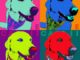Andy Warhol style pop art of my departed dog Callie, who we called C.